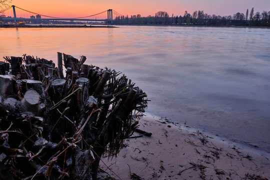 Rodenkirchen Bilder Durchsuchen 403 Archivfotos, und
