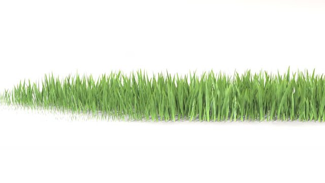 Grass growing from right to left. 3D rendering.