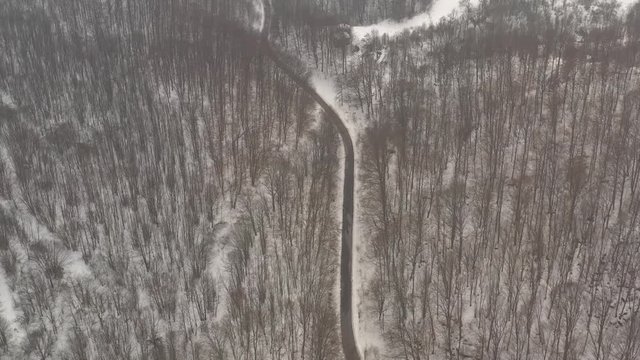 Snowed forest with curvy road 4K drone footage