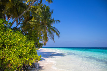 Traum auf den Malediven