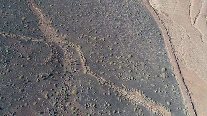 naturaleza salvaje