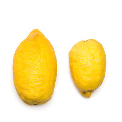 Ugly organic lemons  isolated on white background.