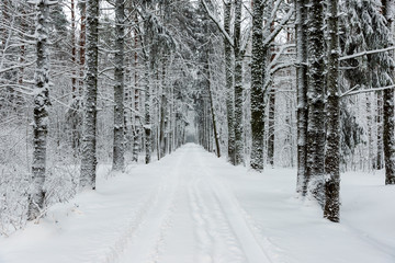 Obraz premium snowy winter road covered in ice and snow