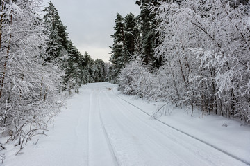 Obraz premium snowy winter road covered in ice and snow