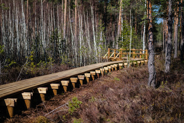beautiful new wooden board walk for tourists