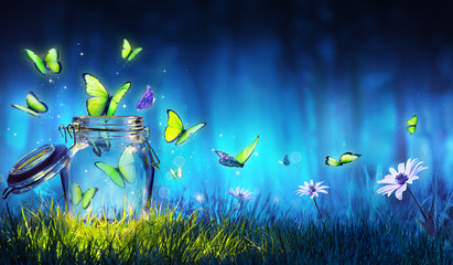 Freedom Concept - Magic Butterflies Flying Out Of The Jar On The Lawn