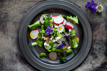Spring salad with radish, broad beans and violets