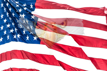 Closeup of American Flag with Bald Eagle ghosted onto the surface of the flag, staring directly into the camera. Bright colors of the American Flag.