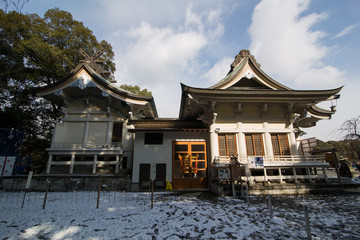 Fototapeta premium 神社