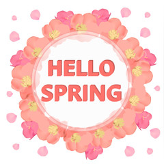 Bright hello spring background. Background with beautiful colorful flowers.