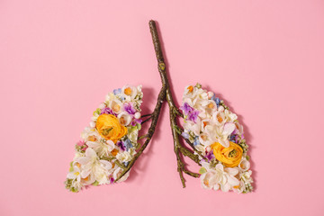 top view of floral composition with blooming flowers and twigs in shape of lungs on pink