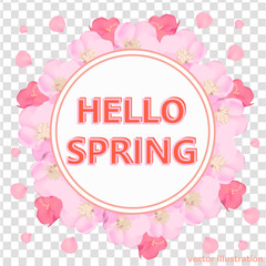 Bright hello spring background. Background with beautiful colorful flowers. Vector illustration with transparent background.