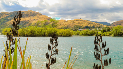 Looking across Lake Wakapitu, Queenstown, New Zealand