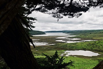 Pt Reyes Marshlands