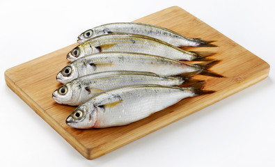 Fresh Caught Bogue Fish Or Boops Boops fish on wooden cutting board