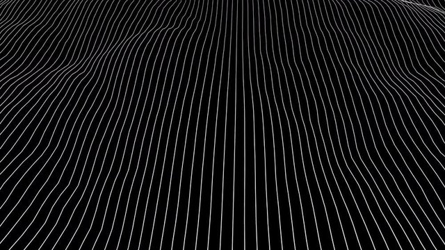 Abstract white wavy outline background. Sine line looped seamless pattern. Simple 4K op art motion graphics with alpha channel.