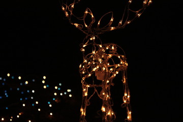 Christmas deer