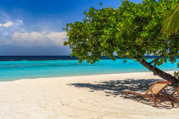Tropical lonely beach at Maldives with blue sky, palm trees and turquoise water