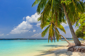 Fototapeta na wymiar Tropical lonely beach at Maldives with blue sky, palm trees and turquoise water