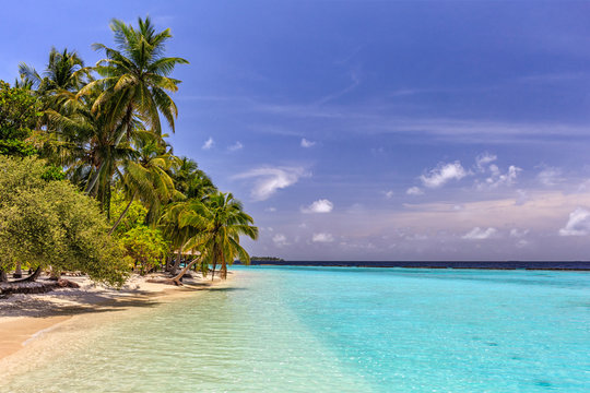 Tropical lonely beach at Maldives with blue sky, palm trees and turquoise water
