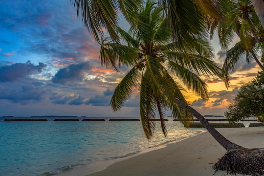 Sunrise on tropical beach at Maldives palm trees and turquoise water
