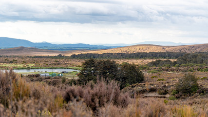 View around Tongariro National Park in New Zealand