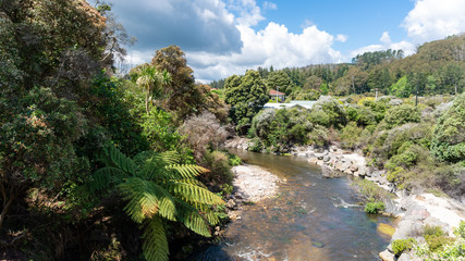 Fototapeta na wymiar River in Whakarewarewa near Rotorua in New Zealand