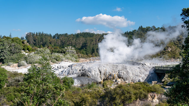 Geysers Erupting at Te Puia near Rotorua in New Zealand