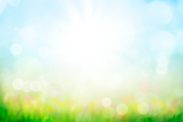 abstract background with green grass and flowers over sunny blue sky