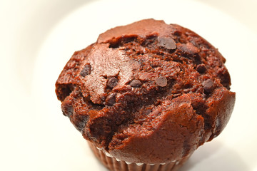 Delicious Double Chocolate Muffin with Choco Chips isolated closeup on a white plate.