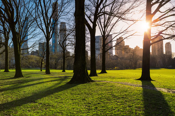 Obraz premium Central Park at sunny evening. New York outdoors
