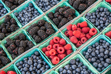 fresh berries in the market