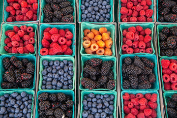 berries in the market
