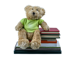 Cute brown bear doll Sitting on Many books isolated on white background