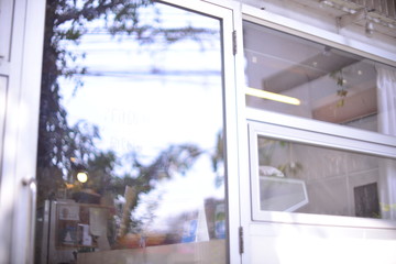 tree in window