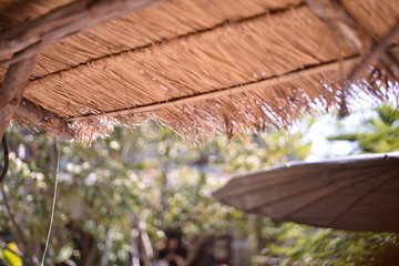 roof of a wooden house