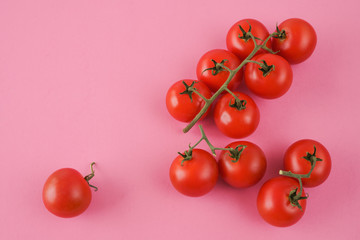 Red Tomatoes Isolated, Light Pink Background, Copy Space