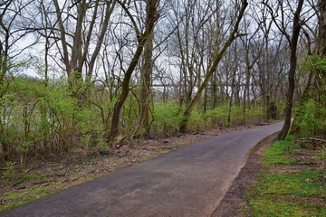 Views of Nature and Pathways along the Shelby Bottoms Greenway and Natural Area Cumberland River frontage trails, bottomland hardwood forests, open fields, wetlands, and streams, Nashville, Tennessee.
