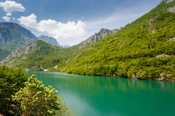 Fototapeta na wymiar Bosnia and Herzegovina river landscape
