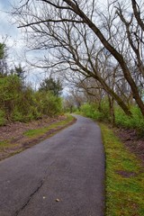 Views of Nature and Pathways along the Shelby Bottoms Greenway and Natural Area Cumberland River frontage trails, bottomland hardwood forests, open fields, wetlands, and streams, Nashville, Tennessee.
