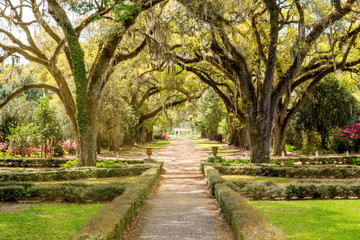Fototapeta na wymiar The landscape of southern plantation