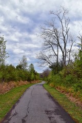 Views of Nature and Pathways along the Shelby Bottoms Greenway and Natural Area Cumberland River frontage trails, bottomland hardwood forests, open fields, wetlands, and streams, Nashville, Tennessee.