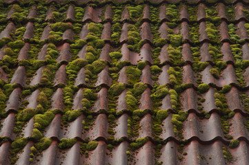 Red tile roof texture background. roof overgrown with moss