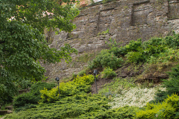 Old stone wall masonry with greenery texture background