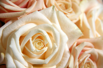 ベージュ系のシックな色合いの薔薇の花束