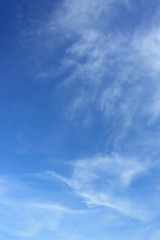 Fototapeta premium white cloud on blue sky weather background