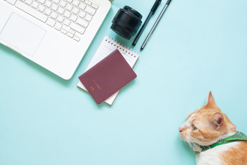 Flat lay of modern workspace desk with laptop, passport, camera lens and cat on blue colour. Travel, hobby and lifestyle concept