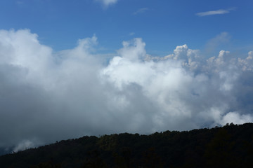 Naklejka na ściany i meble fluffy mist cloud on sky above evergreen mountain of green jungle woods