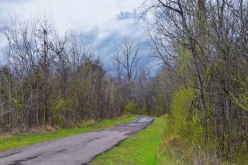 Views of Nature and Pathways along the Shelby Bottoms Greenway and Natural Area Cumberland River frontage trails, bottomland hardwood forests, open fields, wetlands, and streams, Nashville, Tennessee.