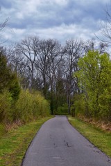 Views of Nature and Pathways along the Shelby Bottoms Greenway and Natural Area Cumberland River frontage trails, bottomland hardwood forests, open fields, wetlands, and streams, Nashville, Tennessee.